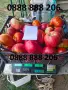 Продавам вкусни домати, снимка 8
