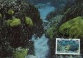 Тувалу 1992 - 4 броя Карти Максимум - WWF, снимка 3