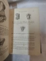 Антикварен медицински атлас по Анатомия (1875 г.) – Dr. Heitzmann 1875 год. , снимка 10
