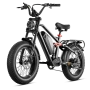 Електрически велосипед Eahora Terra 2 – 48V 1500W Dual Motor Fat Tire, снимка 2