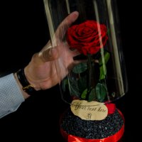 Вечна жива роза в ГОЛЯМА стъкленица "Красавицата и звяра"/ Подарък за Жена за Годишнина / Вечна роза, снимка 8 - Други - 34470402
