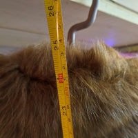 Дамско кожено яке - естествена кожа НОВО, снимка 3 - Палта, манта - 44702274