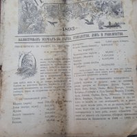 Списание "Природа",Първи брой,1893г., снимка 7 - Антикварни и старинни предмети - 35869889