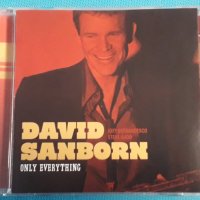 David Sanborn – 2010 - Only Everything(Fusion), снимка 1 - CD дискове - 42704476