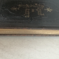 Евангелска-лутеранска библия 1895, снимка 7 - Антикварни и старинни предмети - 36068010