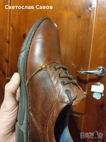 Резервирани.Calapua 42,5нм. 27,5см., снимка 1