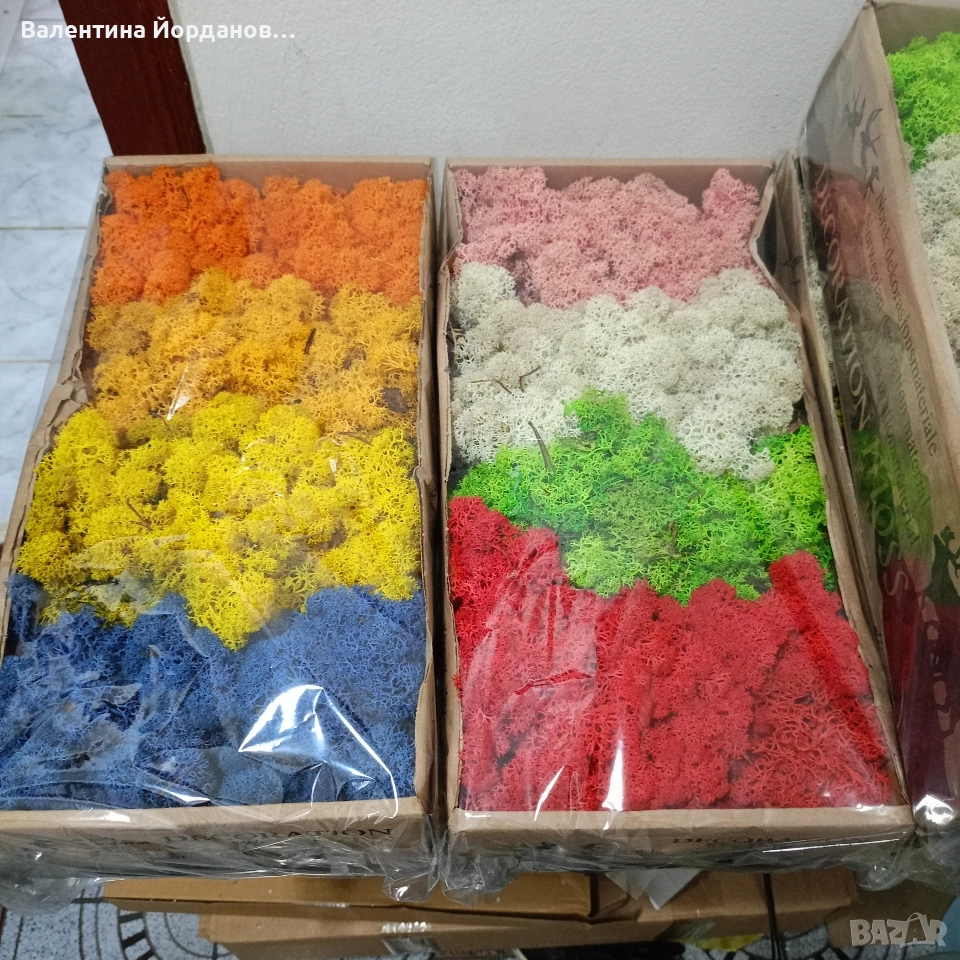 скандинавски мъх , снимка 1