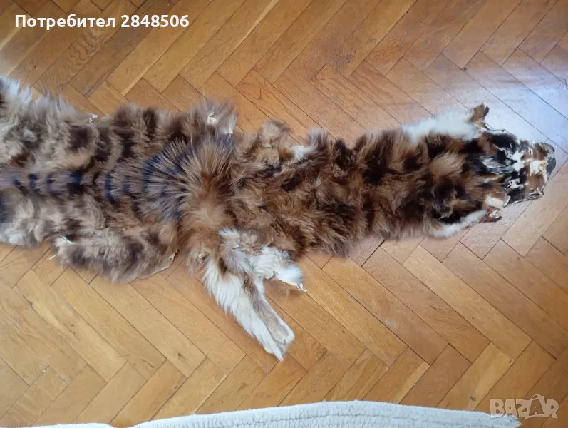 Продавам кожа от дива котка., снимка 1