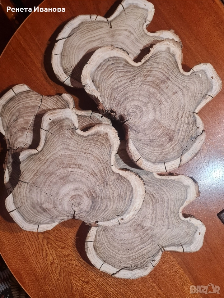 Дървени шайби , снимка 1
