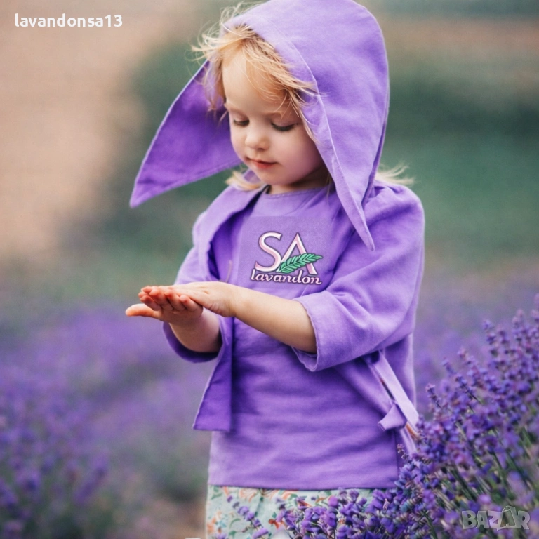 🪻 Разсад Лавандула Севтополис и Лавандин | Туфички и Оформени храсти, снимка 1