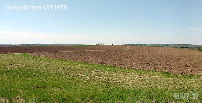 Земеделска земя с. Бабук, снимка 1