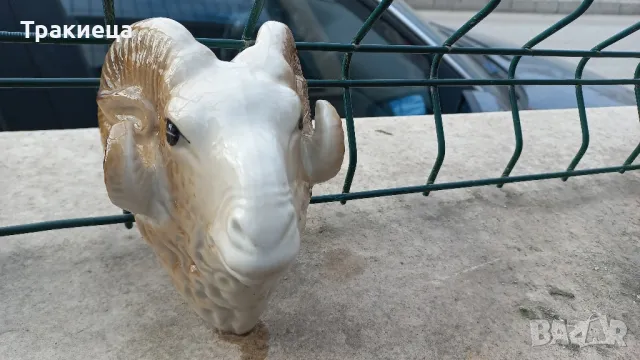 ПОРЦЕЛАНОВ ОВЕН ТРОФЕЙ РОГА