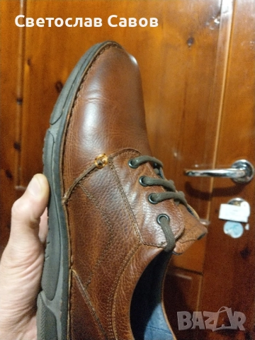 Резервирани.Calapua 42,5нм. 27,5см., снимка 1