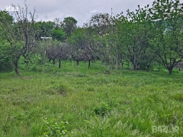 Панорамен парцел Средно Градище , снимка 8 - Парцели - 48529196