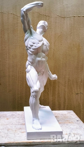 Екорше / Анатомична фигура / Гипсов модел, снимка 4 - Други - 51458325