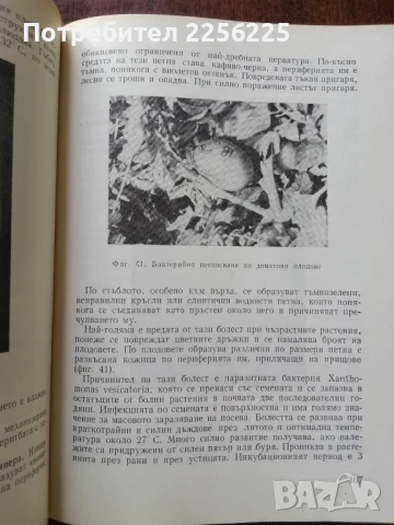 Ръководство по растителна защита за зеленчукопроизводителя, снимка 8 - Специализирана литература - 50611780