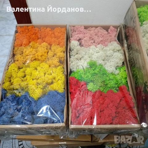 скандинавски мъх 