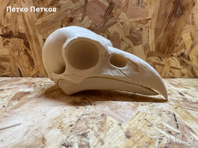3D принтиран череп на гарван – декоративен модел, снимка 2 - Декорация за дома - 53058730