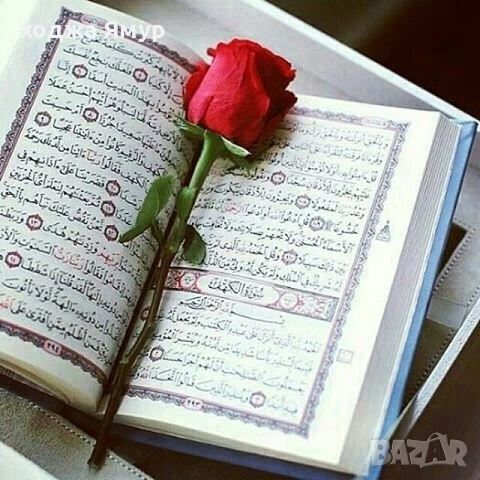 Ходжа Ямур, снимка 1