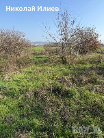 Промишлен парцел с.Тополи, снимка 6 - Парцели - 52501365