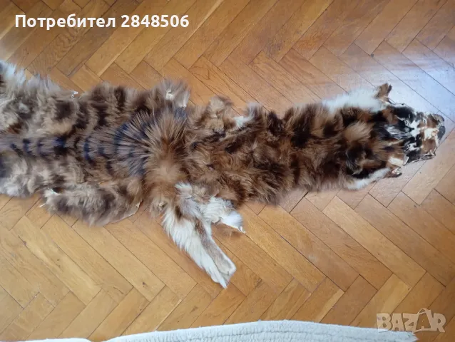 Продавам кожа от дива котка.