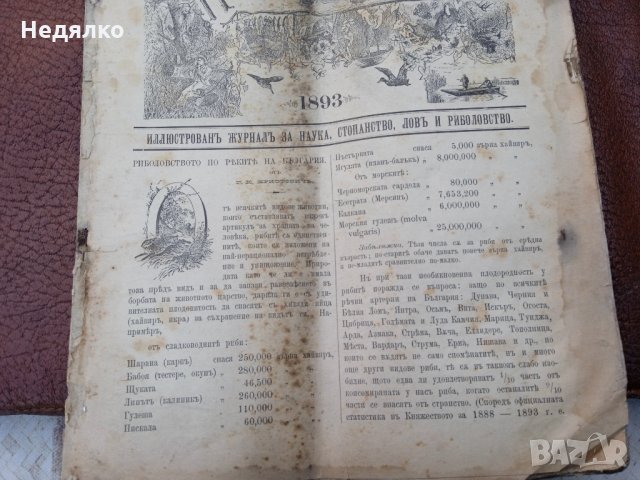 Списание "Природа",Първи брой,1893г., снимка 7 - Антикварни и старинни предмети - 35869889