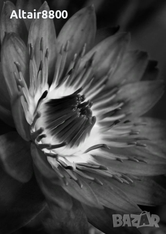 Nikon Д70 фотоапарат + два обектива и аксесоари Никон, снимка 16 - Фотоапарати - 53013908