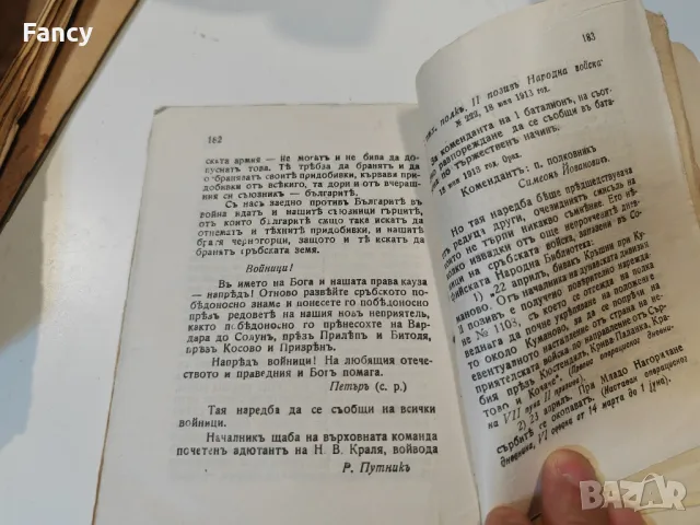 Стара книга "Сръбско българските отношения" 1918 г, снимка 5 - Колекции - 47631731
