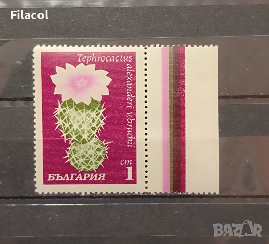 Кактуси. 1970