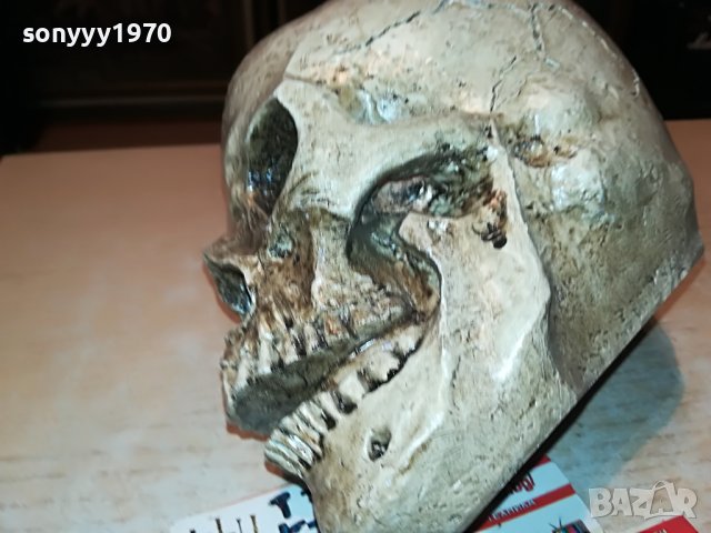 черепа 20х16х14см-антика 0101231028, снимка 5 - Антикварни и старинни предмети - 39153266
