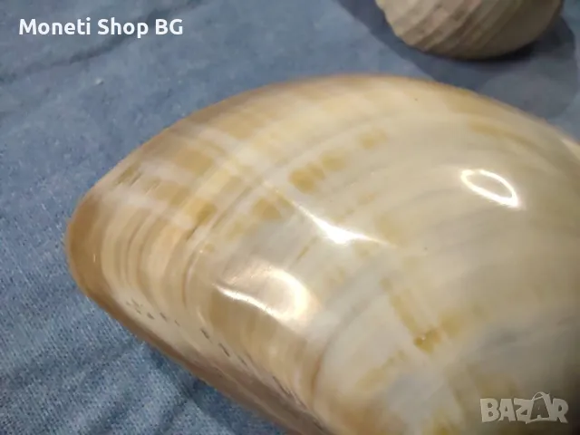 Океански дарове., снимка 2 - Други ценни предмети - 49014543