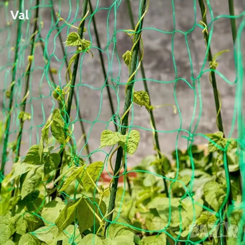 Мрежа за увивни растения и зеленчуци 1.2х20 м, Око 15х17 см, снимка 2 - Огради и мрежи - 53821289