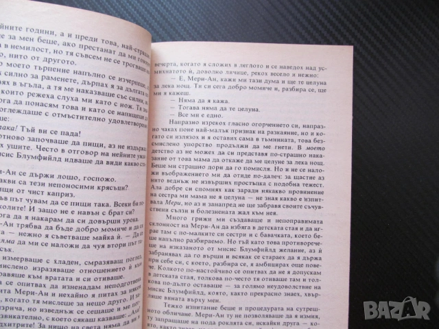 Агнес Грей Ан Бронте роман Нов Златорог драматични изживявания любовен трепет най малката сестра пис, снимка 2 - Художествена литература - 53559856
