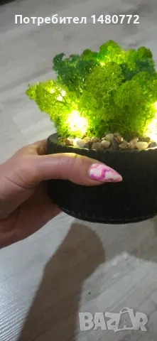 Светеща кашпа със скандинавски мъх , снимка 2 - Декорация за дома - 48169980