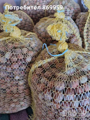 Продавам лешници , снимка 3 - Домашни продукти - 56333475