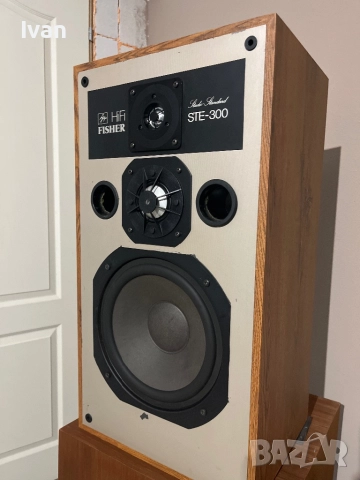 Fisher STE-300, снимка 3 - Тонколони - 52939289