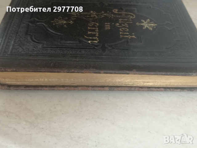 Евангелска-лутеранска библия 1895, снимка 7 - Антикварни и старинни предмети - 36068010