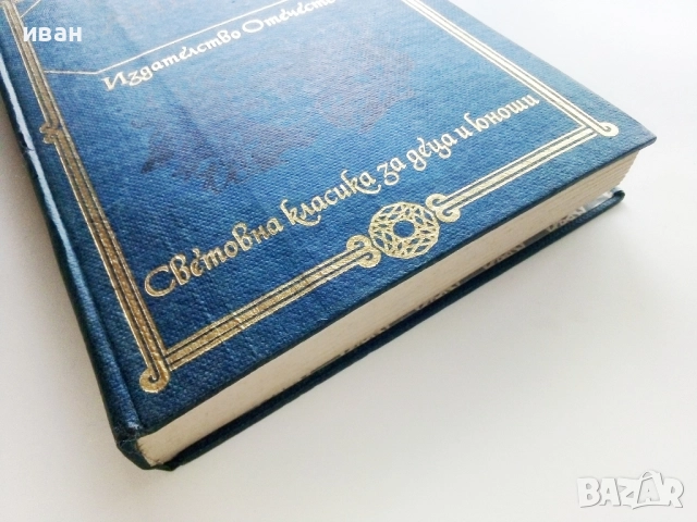 Анелка - Болеслав Прус - 1981г., снимка 5 - Художествена литература - 52904592