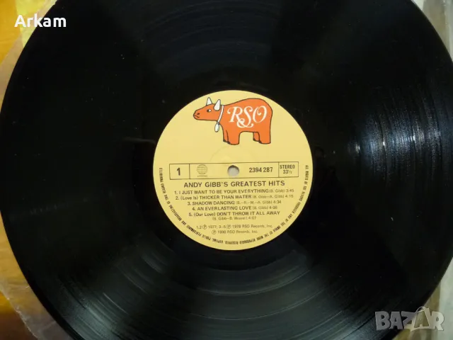 Andy Gibbs - Greatest Hits 1980 LP, снимка 3 - Грамофонни плочи - 47826469