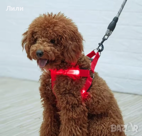 Нагръдник за куче с LED светлини, снимка 4 - За кучета - 52093026
