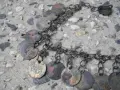 СТАР НАКИТ ПРОЧЕЛНИК ТРЕПКА ЗАБОДКА НОСИЯ СБХ , снимка 5
