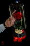 Подарък за Годишнина / Естествена Вечна Роза в Голяма Стъкленица / Оригинален Подарък за Жена, снимка 4
