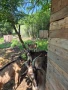 Продавам козлета, снимка 5