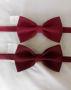 НОВА ПАПИОНКА ЦВЯТ БОРДО. БУТИКОВИ ЧЕРВЕНИ ПАПИОНКИ. ИЗРАБОТКА В ЦВЯТ ПО ЖЕЛАНИЕ ЧЕРВЕНА ПАПИОНКА, снимка 5