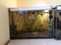 два аквариума с рибки, снимка 1 - Аквариуми - 44549777