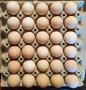 Яйца за люпене от Брезе Галоа! , снимка 3