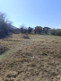 Продавам парцел гр.Сапарева Баня, снимка 10