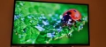 Телевизор jvc 49 led smart tv, снимка 14