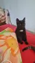 Две котета на 4месеца, снимка 7