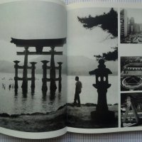 Японская панорама - Всеволод Овчинников, снимка 3 - Други - 40791270